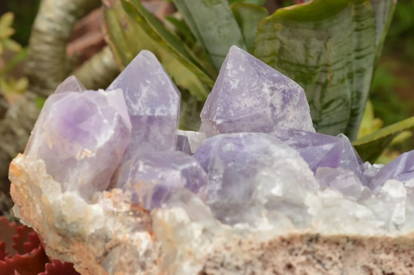 Natural Large Jacaranda Amethyst Cluster x 1 From Mumbwa, Zambia