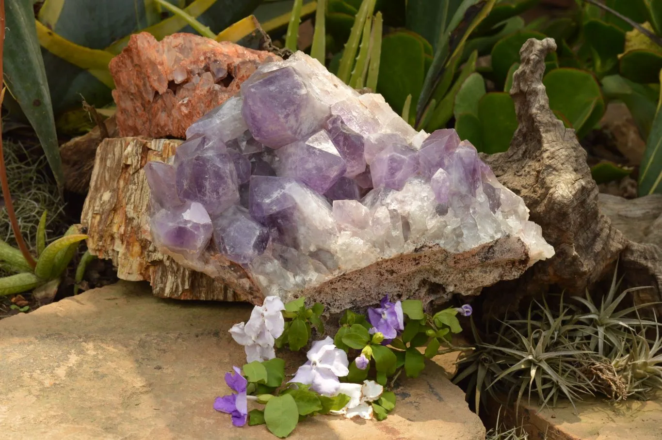 Natural Large Jacaranda Amethyst Cluster x 1 From Mumbwa, Zambia