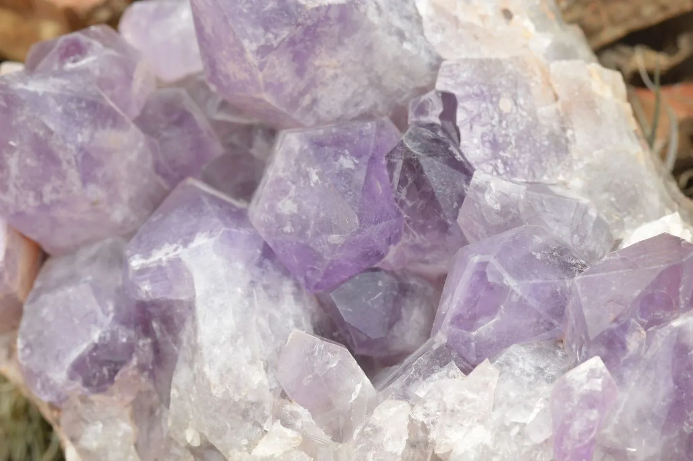 Natural Large Jacaranda Amethyst Cluster x 1 From Mumbwa, Zambia