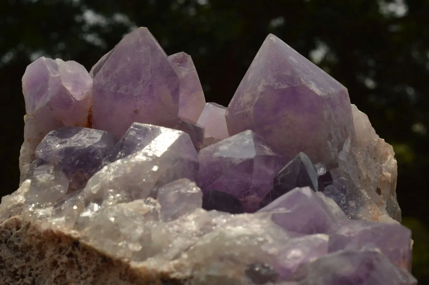 Natural Large Jacaranda Amethyst Cluster x 1 From Mumbwa, Zambia