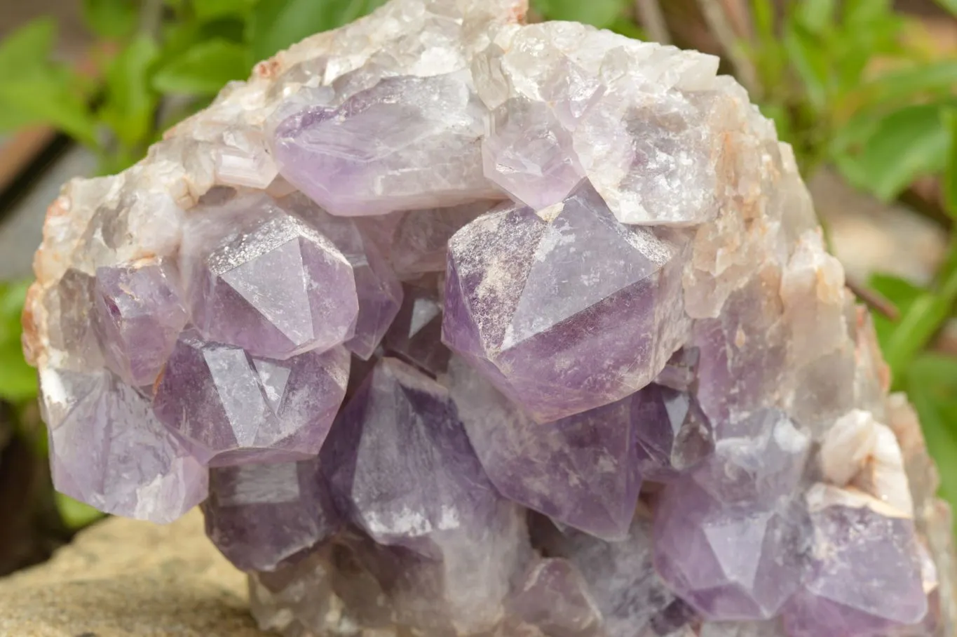 Natural Large Jacaranda Amethyst Cluster x 1 From Mumbwa, Zambia