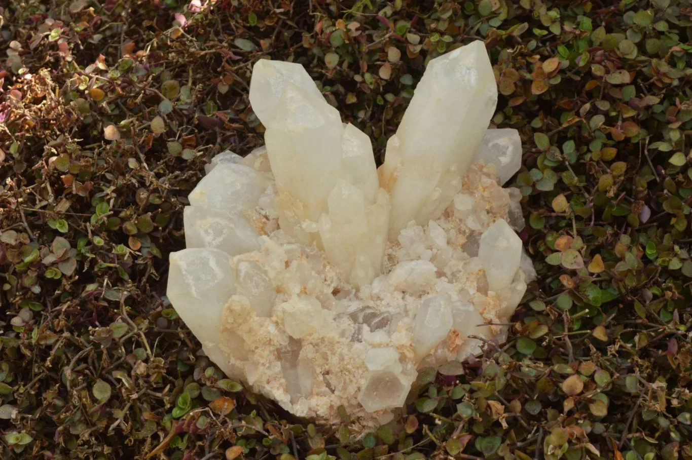 Natural Large Milky White Quartz Cluster With Clean Intact Crystals  x 1 From Madagascar