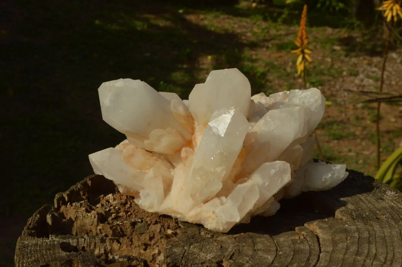 Natural Large Milky White Quartz Cluster With Clean Intact Crystals  x 1 From Madagascar