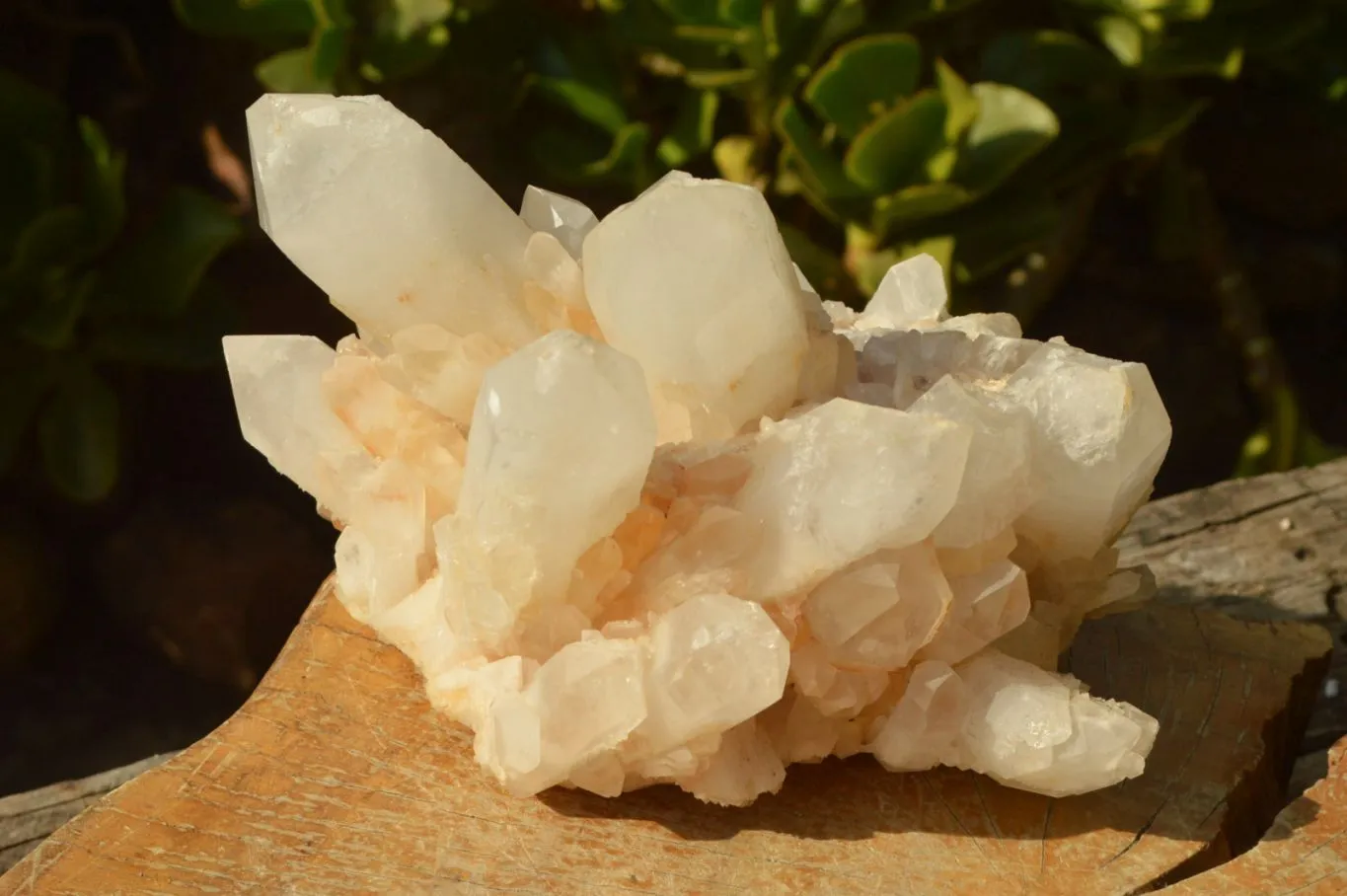 Natural Large Milky White Quartz Cluster With Clean Intact Crystals  x 1 From Madagascar