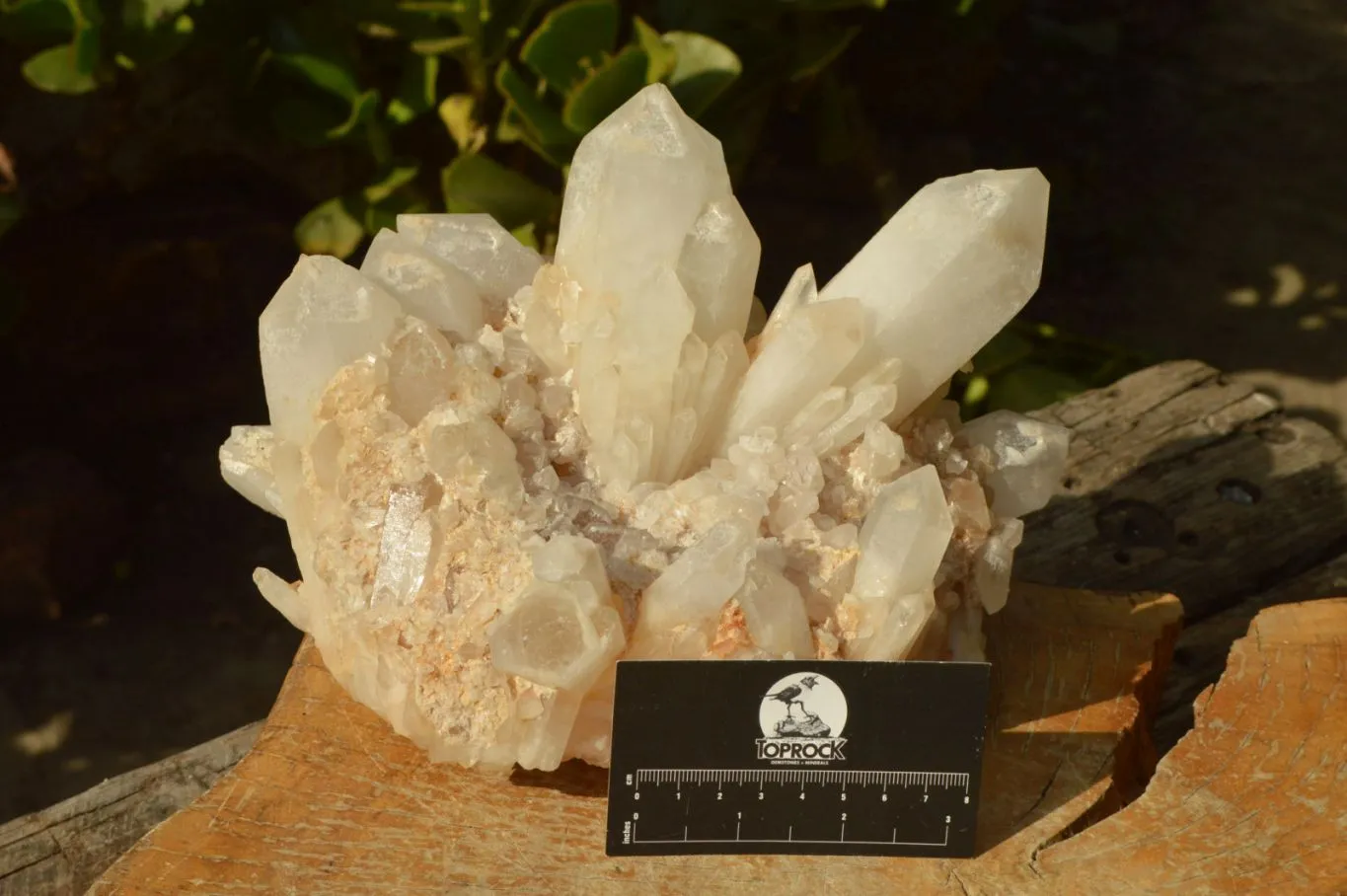 Natural Large Milky White Quartz Cluster With Clean Intact Crystals  x 1 From Madagascar