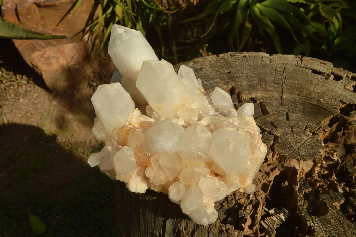 Natural Large Milky White Quartz Cluster With Clean Intact Crystals  x 1 From Madagascar