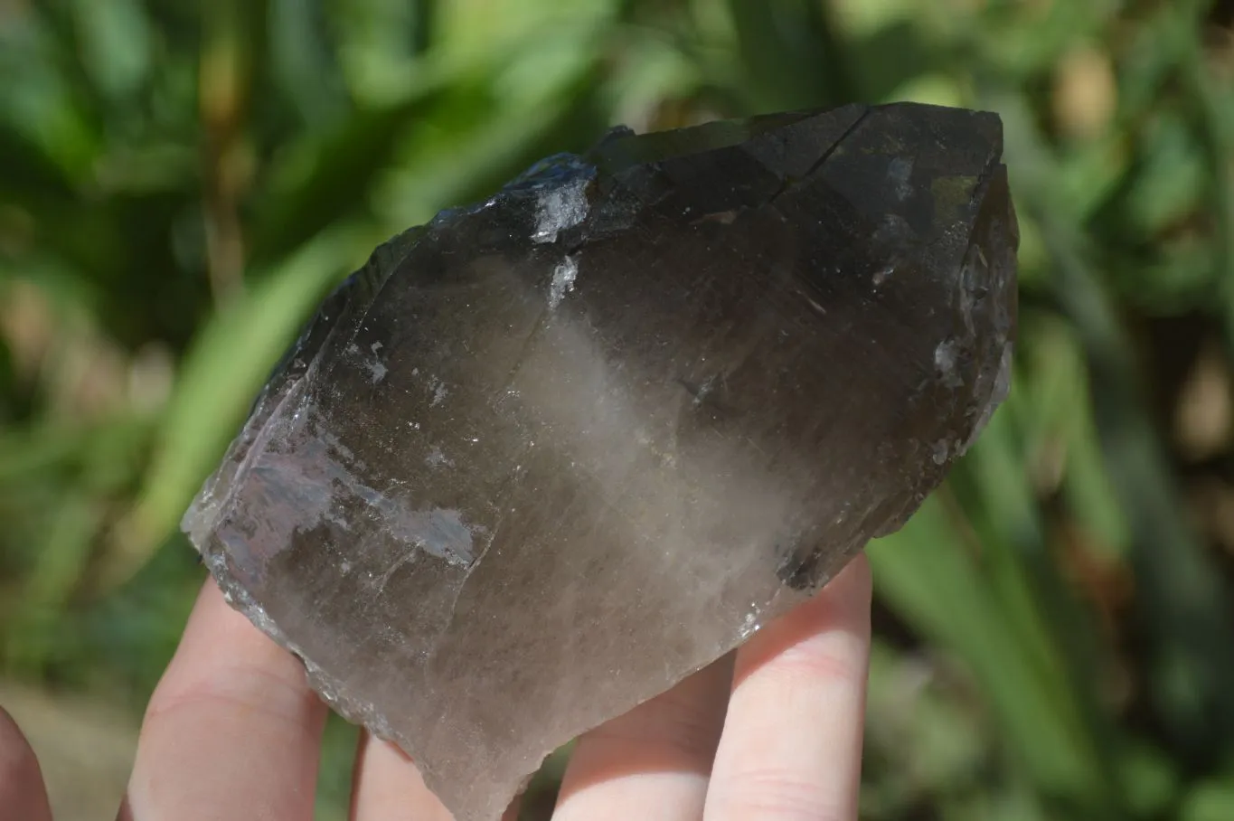 Natural Large Smokey Quartz Crystals x 4 From Mulanje, Malawi