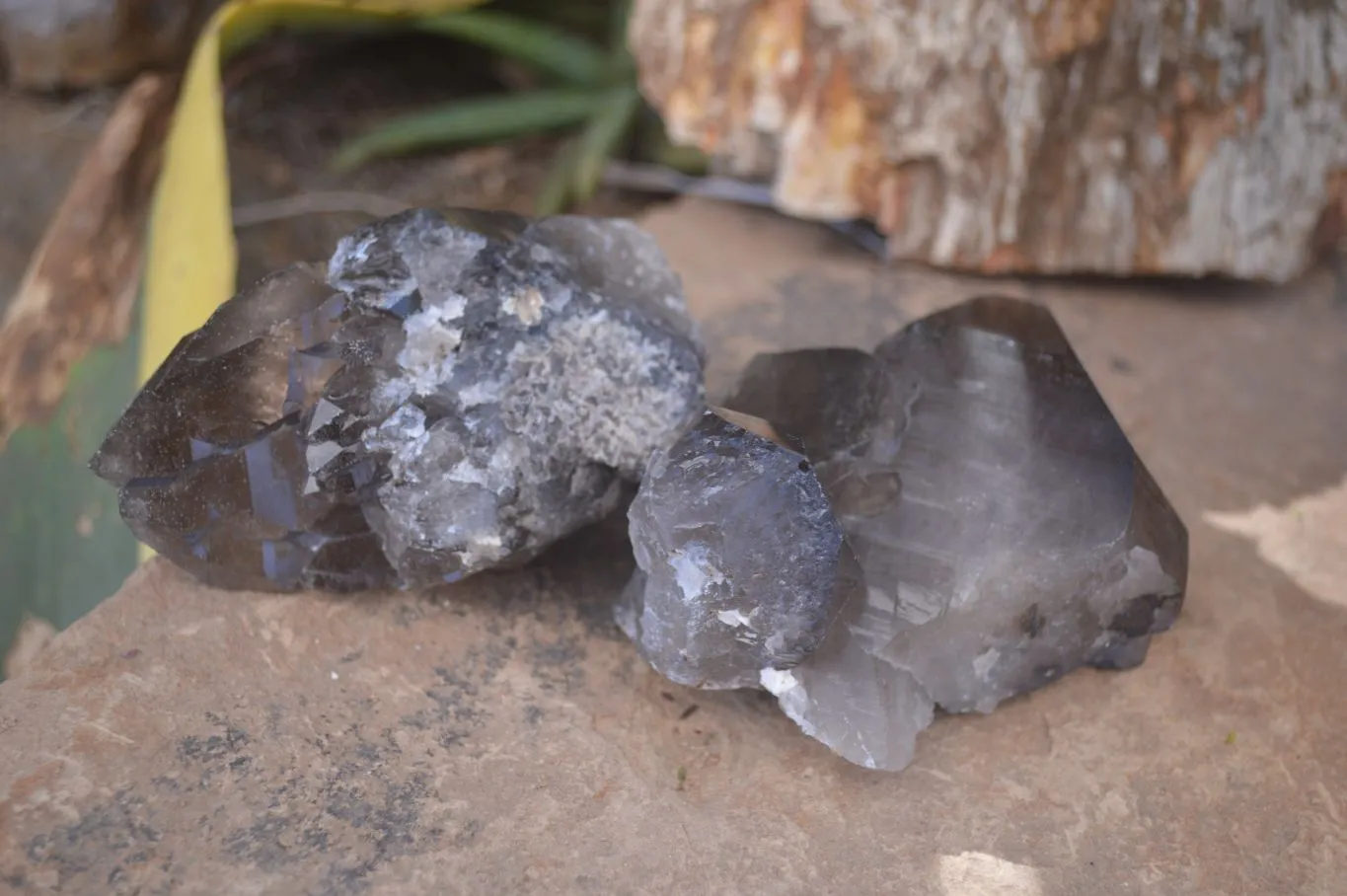 Natural Large Smokey Quartz Crystals x 4 From Mulanje, Malawi