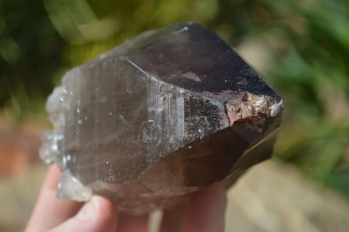 Natural Large Smokey Quartz Crystals x 4 From Mulanje, Malawi