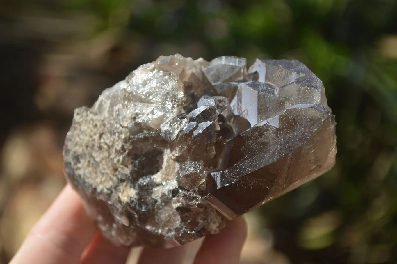 Natural Large Smokey Quartz Crystals x 4 From Mulanje, Malawi