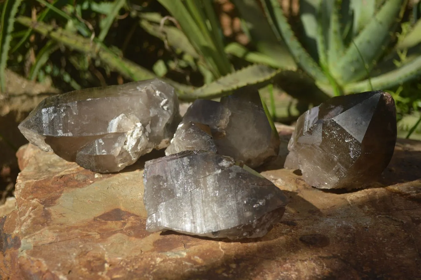 Natural Large Smokey Quartz Crystals x 4 From Mulanje, Malawi