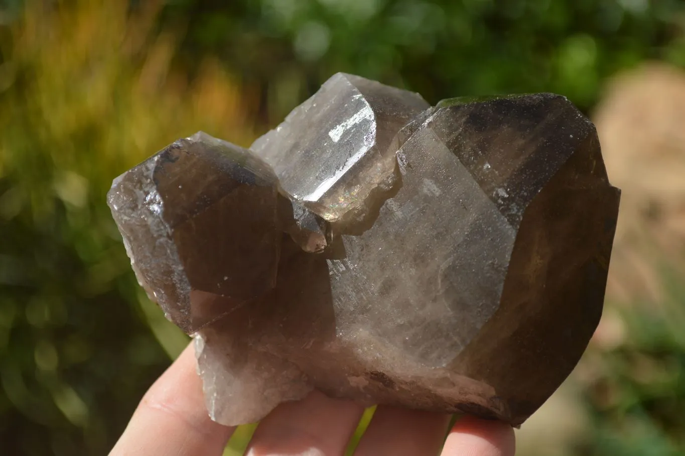 Natural Large Smokey Quartz Crystals x 4 From Mulanje, Malawi