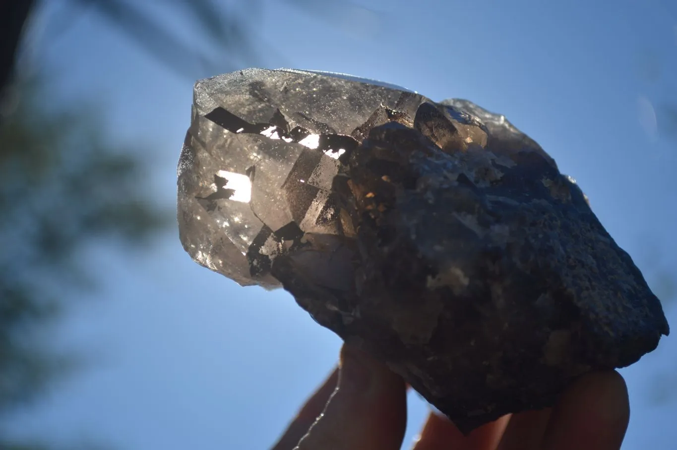 Natural Large Smokey Quartz Crystals x 4 From Mulanje, Malawi