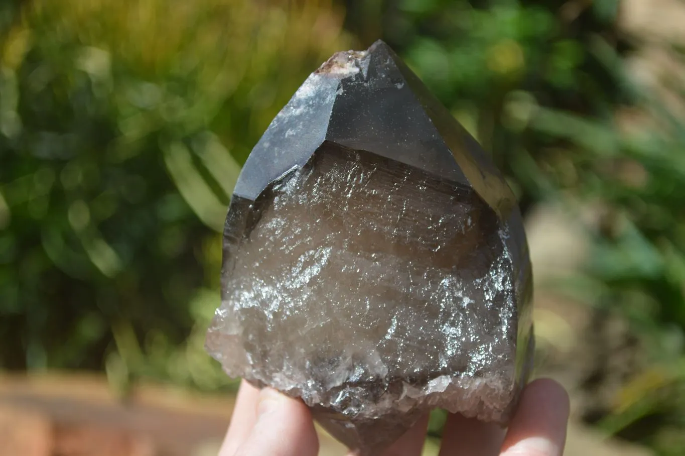 Natural Large Smokey Quartz Crystals x 4 From Mulanje, Malawi