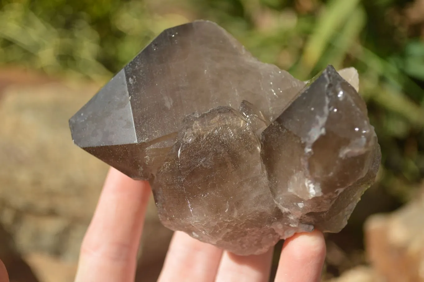 Natural Large Smokey Quartz Crystals x 4 From Mulanje, Malawi