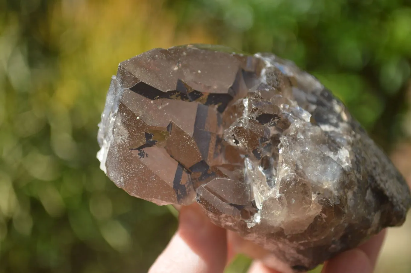 Natural Large Smokey Quartz Crystals x 4 From Mulanje, Malawi