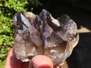 Natural Large Smokey Quartz Crystals x 6 From Mulanje, Malawi