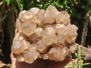 Natural Large White Phantom Smokey Quartz Cluster x 1 From Luena, Congo