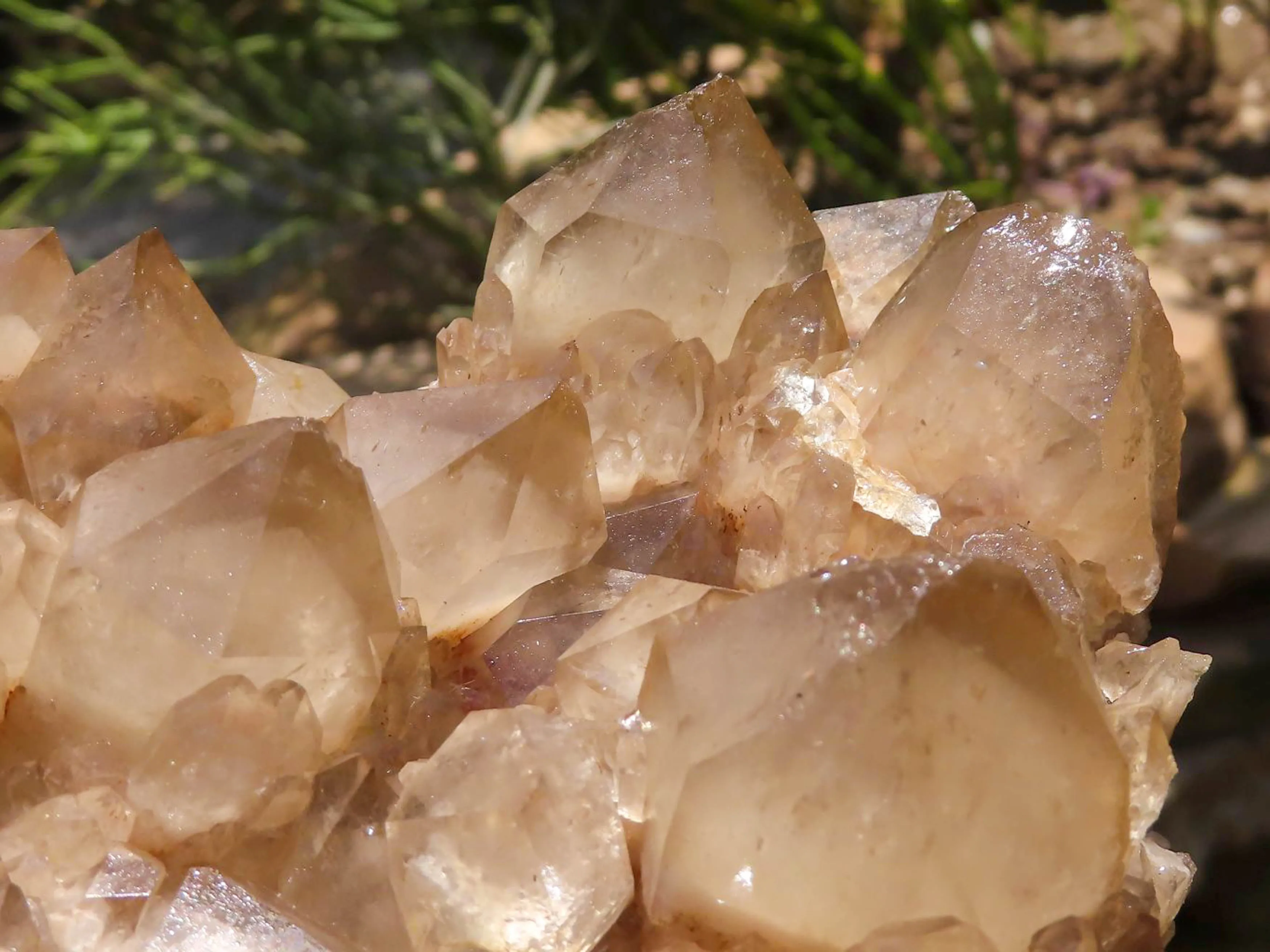 Natural Large White Phantom Smokey Quartz Cluster x 1 From Luena, Congo