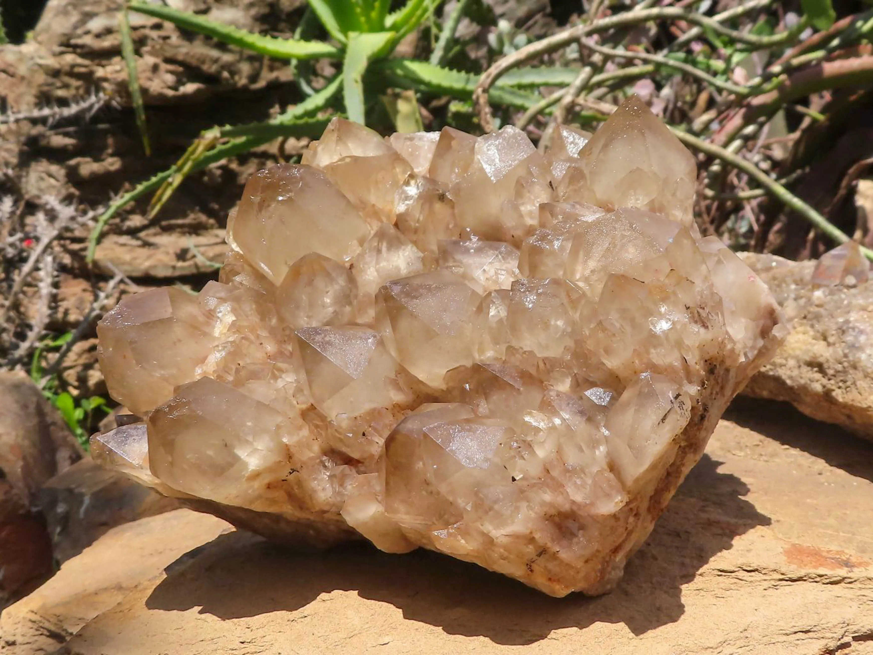 Natural Large White Phantom Smokey Quartz Cluster x 1 From Luena, Congo