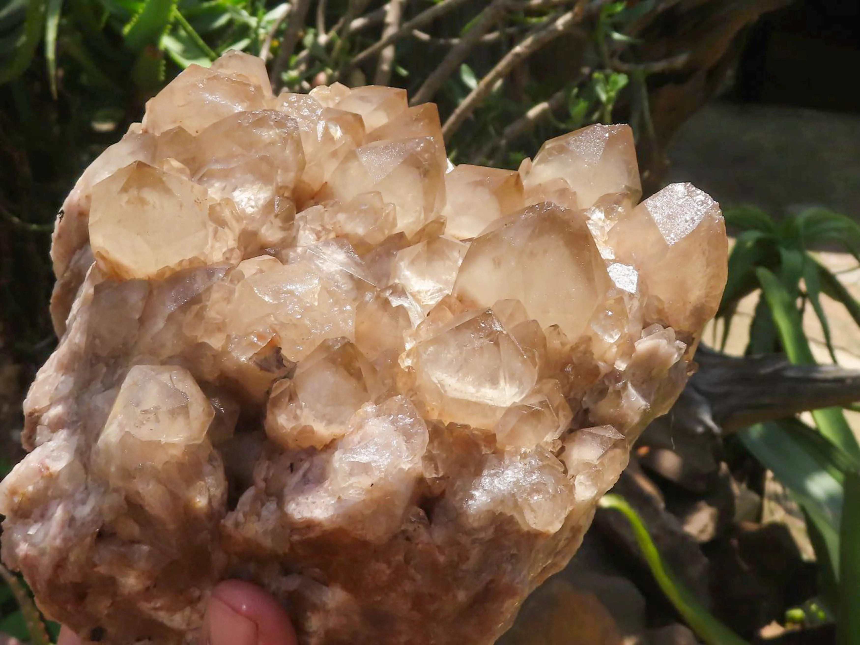 Natural Large White Phantom Smokey Quartz Cluster x 1 From Luena, Congo