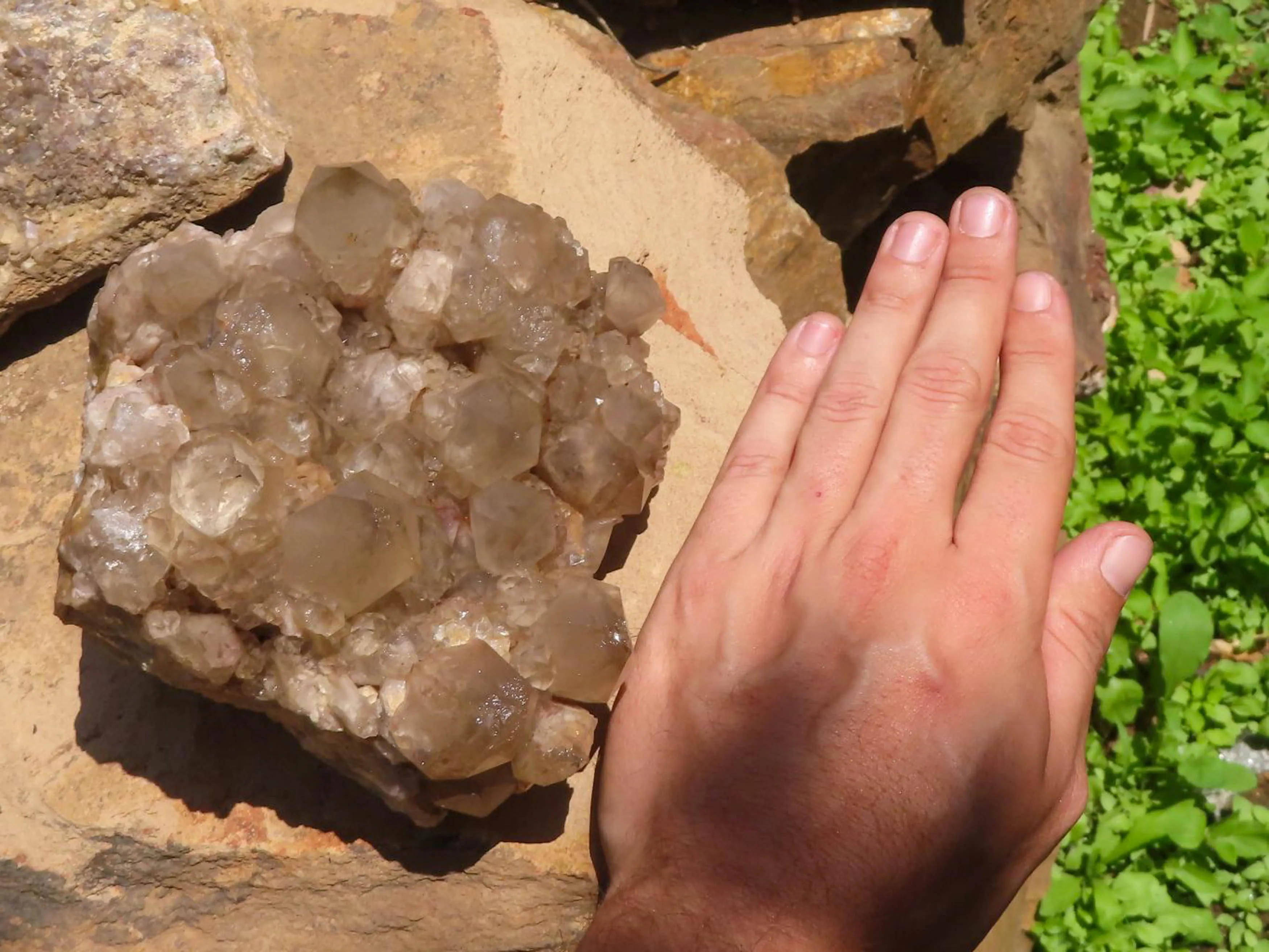 Natural Large White Phantom Smokey Quartz Cluster x 1 From Luena, Congo