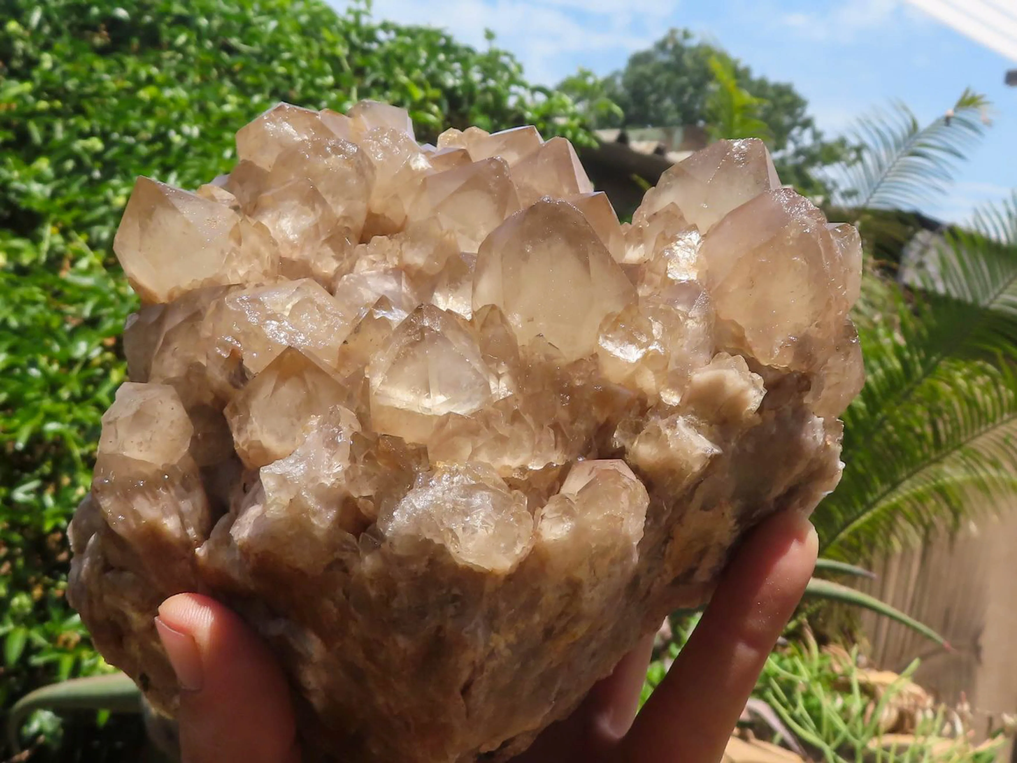 Natural Large White Phantom Smokey Quartz Cluster x 1 From Luena, Congo