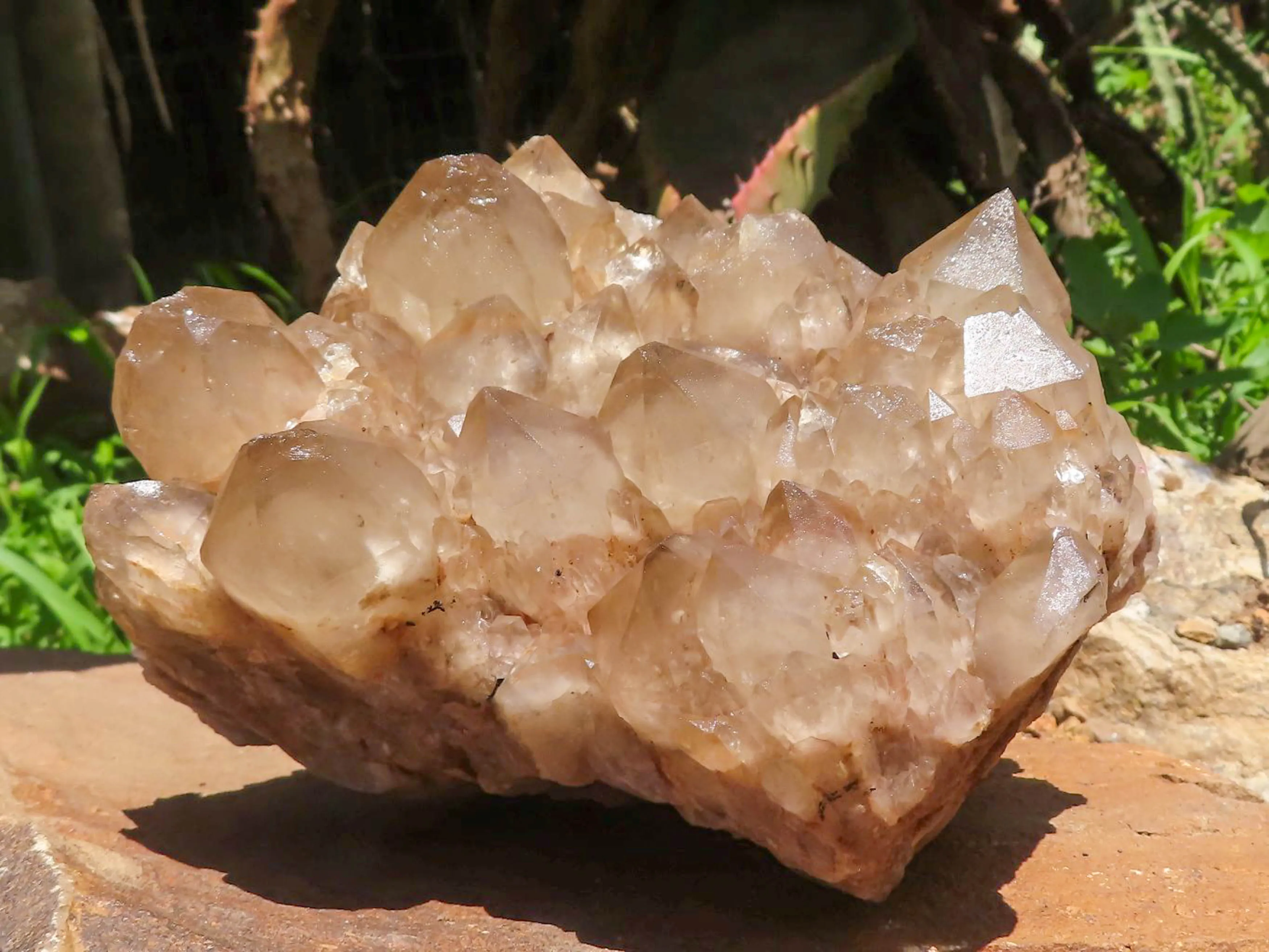 Natural Large White Phantom Smokey Quartz Cluster x 1 From Luena, Congo