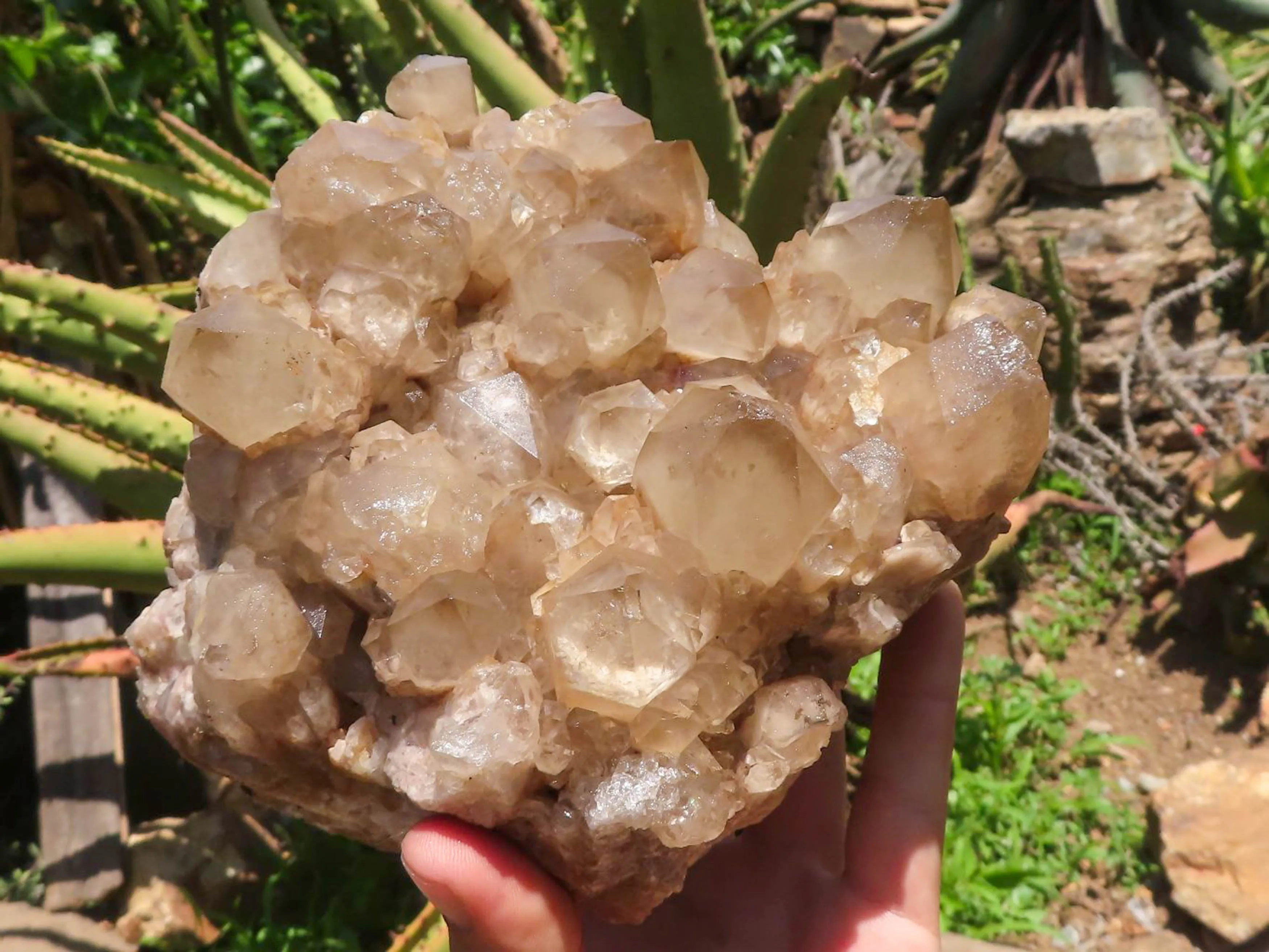 Natural Large White Phantom Smokey Quartz Cluster x 1 From Luena, Congo