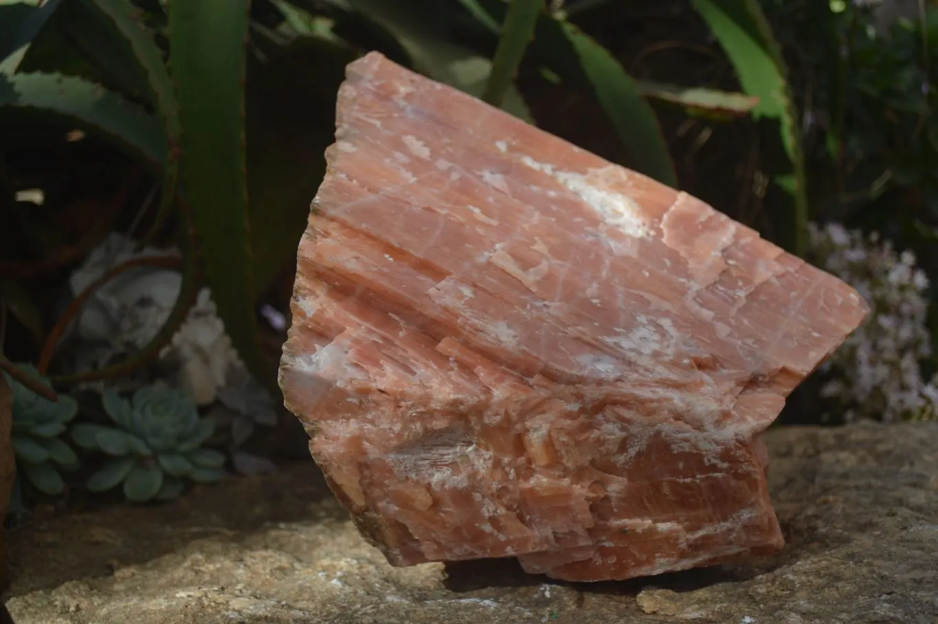 Natural New Giant Sunset Orange Calcite Specimens  x 1 From Spitzkop, Namibia