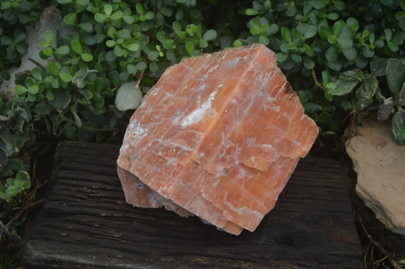 Natural New Giant Sunset Orange Calcite Specimens  x 1 From Spitzkop, Namibia