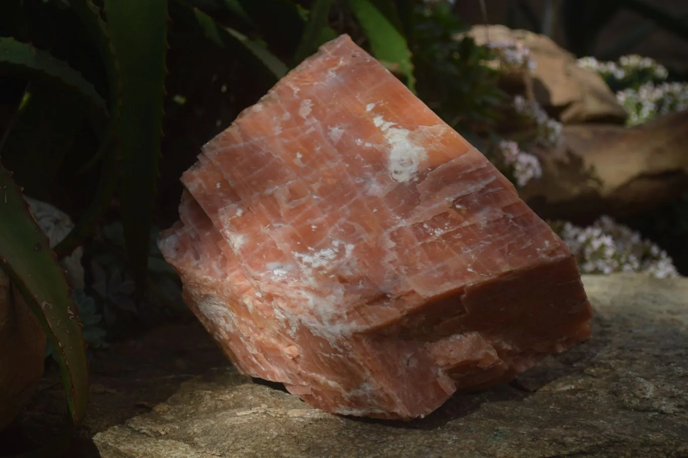 Natural New Giant Sunset Orange Calcite Specimens  x 1 From Spitzkop, Namibia