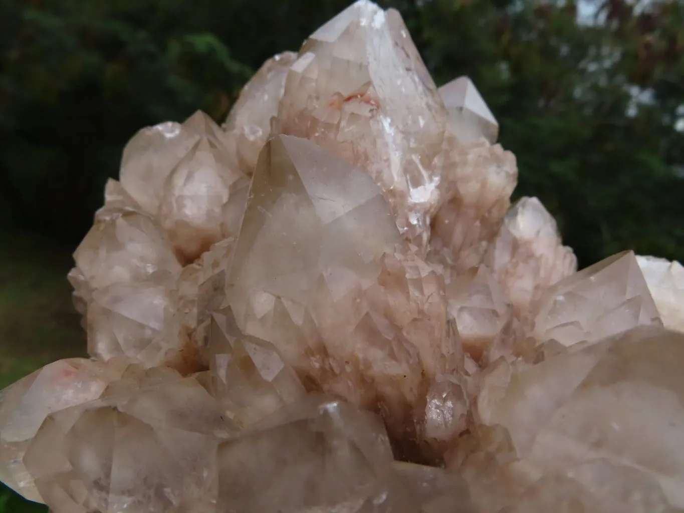 Natural White Phantom Cascading Smokey Quartz Cluster x 1 From Luena, Congo