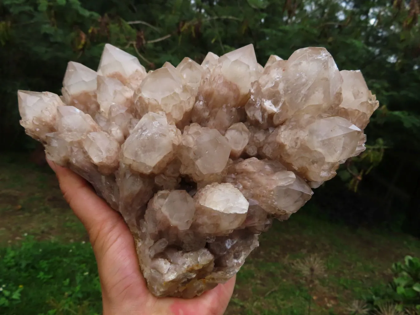 Natural White Phantom Cascading Smokey Quartz Cluster x 1 From Luena, Congo