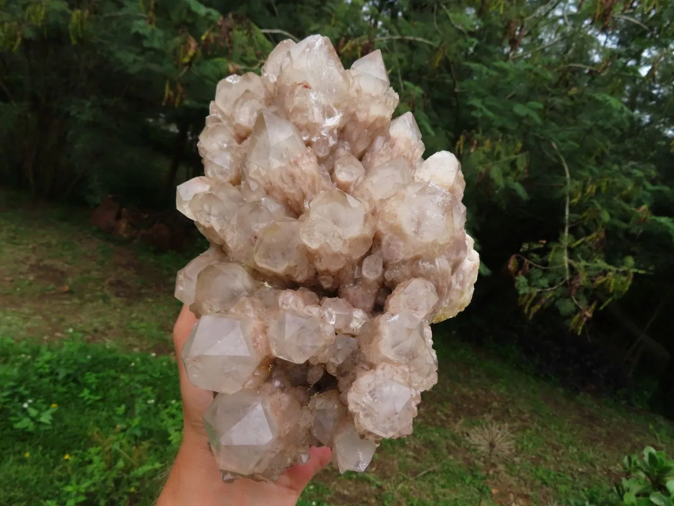 Natural White Phantom Cascading Smokey Quartz Cluster x 1 From Luena, Congo