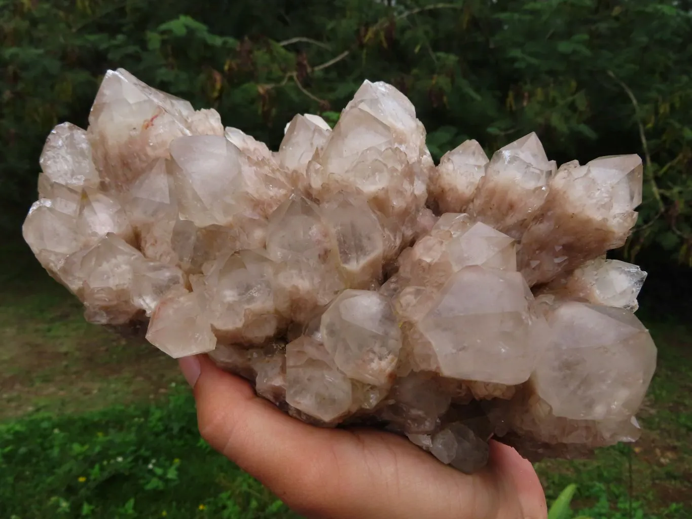 Natural White Phantom Cascading Smokey Quartz Cluster x 1 From Luena, Congo