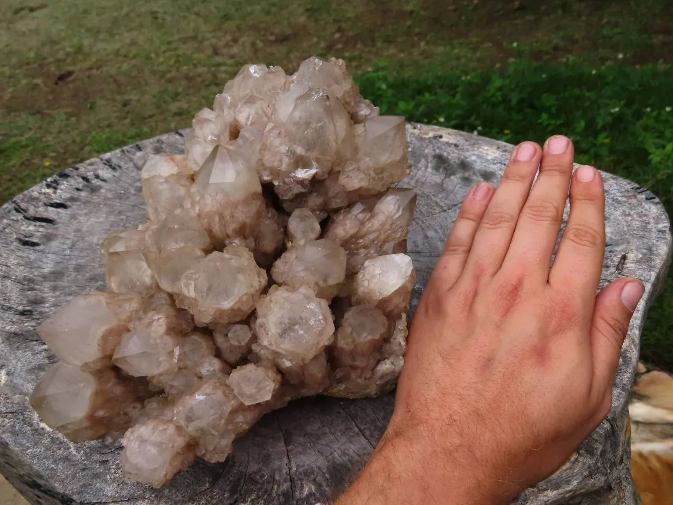 Natural White Phantom Cascading Smokey Quartz Cluster x 1 From Luena, Congo