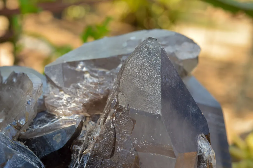 Natural XL Self Healed Smokey Quartz Cluster x 1 From Mt. Mulanje, Malawi