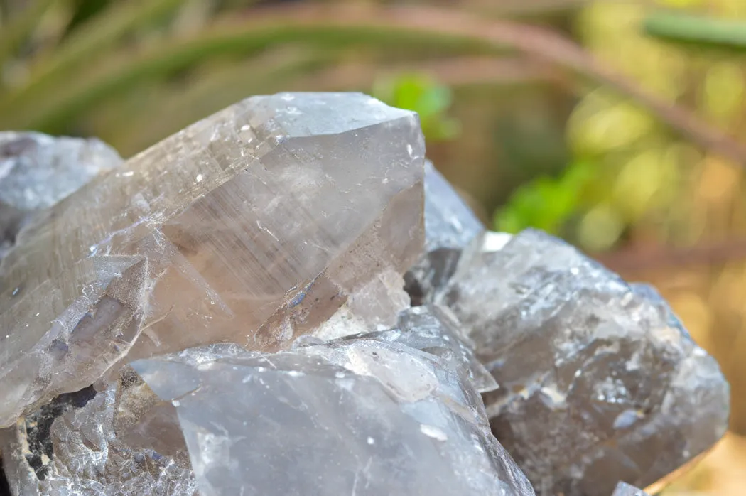 Natural XL Self Healed Smokey Quartz Cluster x 1 From Mt. Mulanje, Malawi