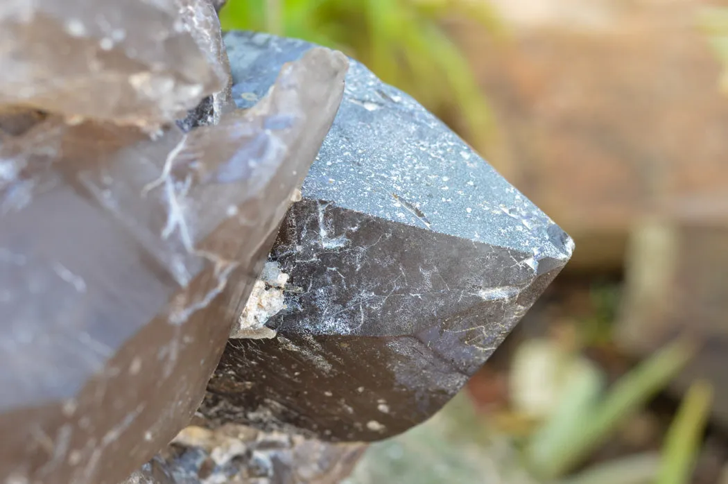 Natural XL Self Healed Smokey Quartz Cluster x 1 From Mt. Mulanje, Malawi