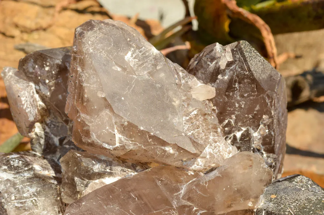 Natural XL Self Healed Smokey Quartz Cluster x 1 From Mt. Mulanje, Malawi