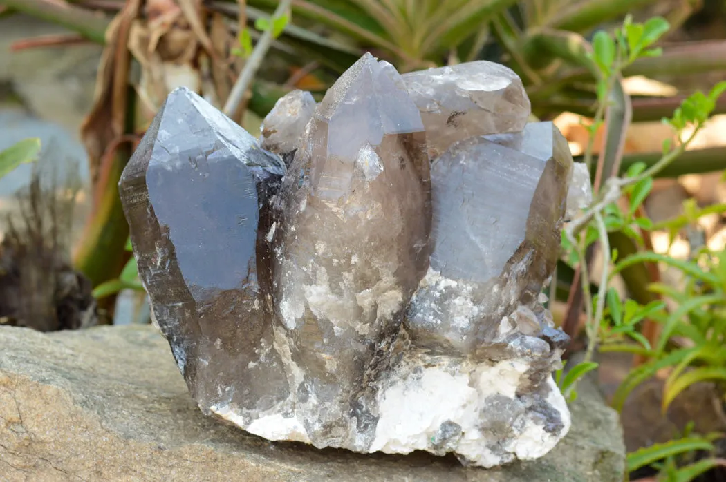 Natural XL Self Healed Smokey Quartz Cluster x 1 From Mt. Mulanje, Malawi