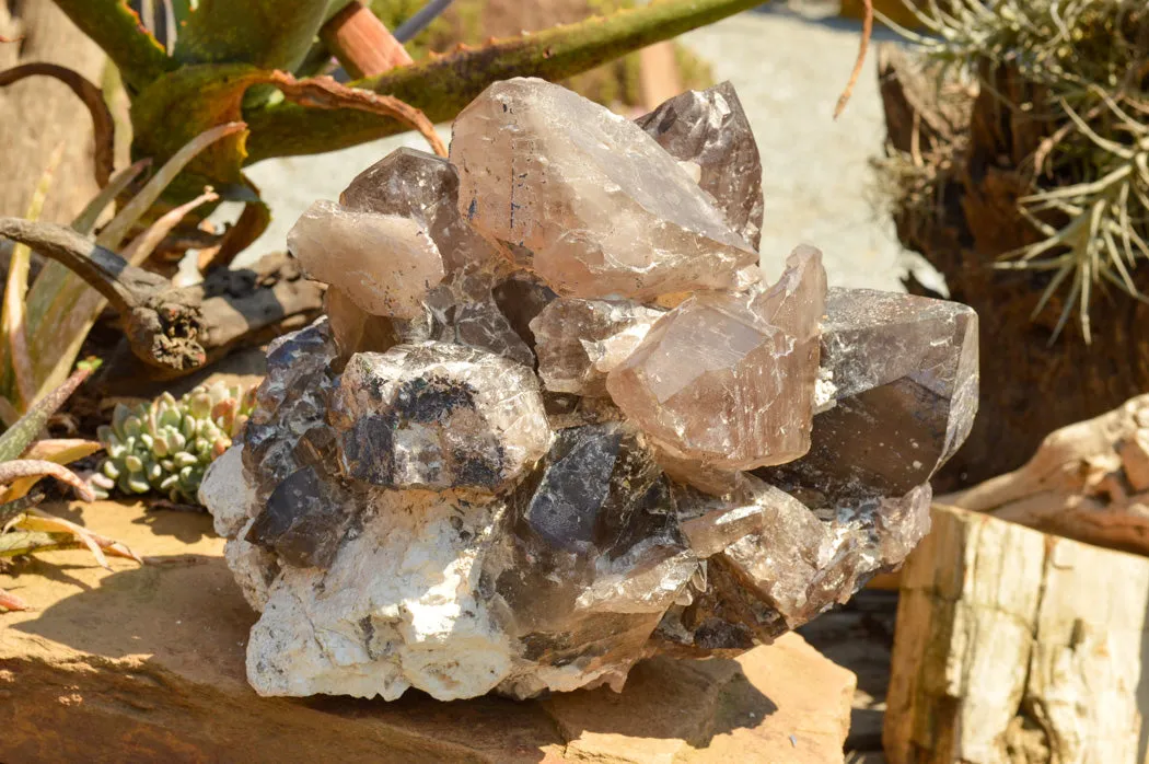 Natural XL Self Healed Smokey Quartz Cluster x 1 From Mt. Mulanje, Malawi