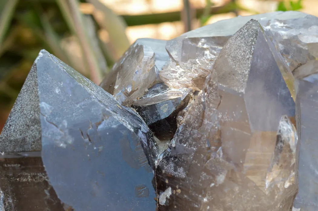 Natural XL Self Healed Smokey Quartz Cluster x 1 From Mt. Mulanje, Malawi