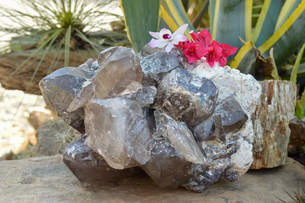 Natural XL Self Healed Smokey Quartz Cluster x 1 From Mt. Mulanje, Malawi