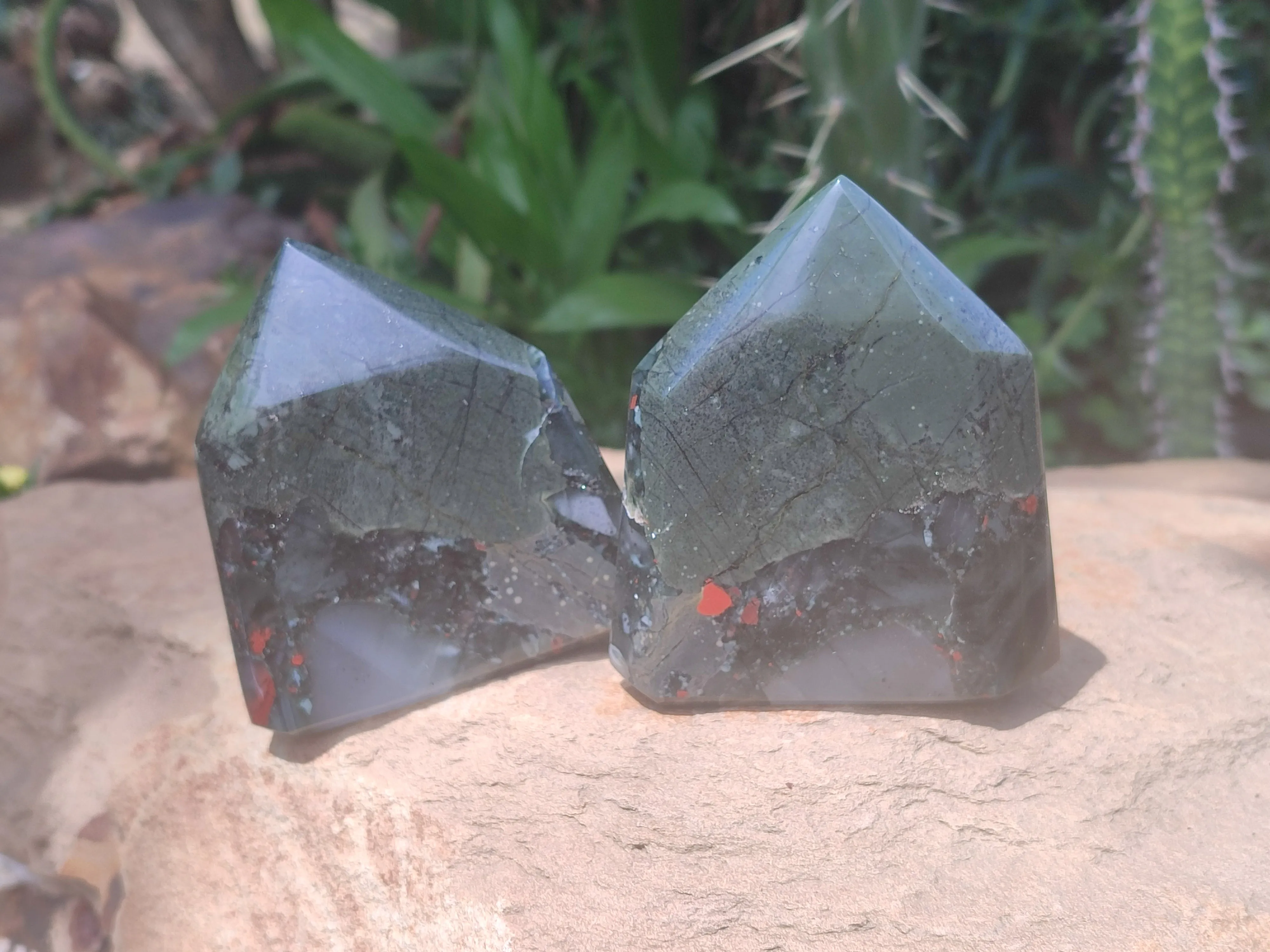 Polished Bloodstone Points x 6 From Swaziland