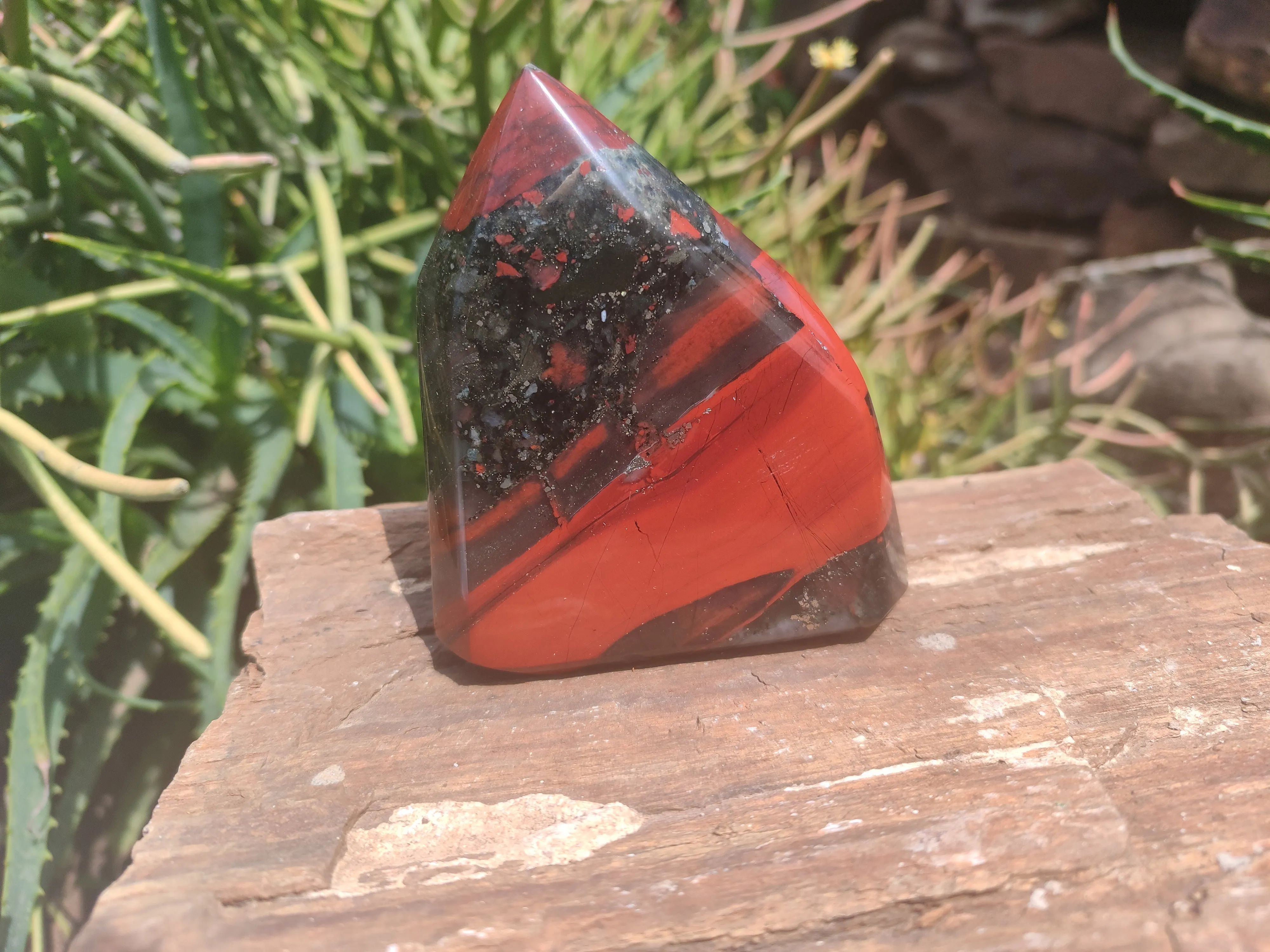 Polished Bloodstone Points x 6 From Swaziland