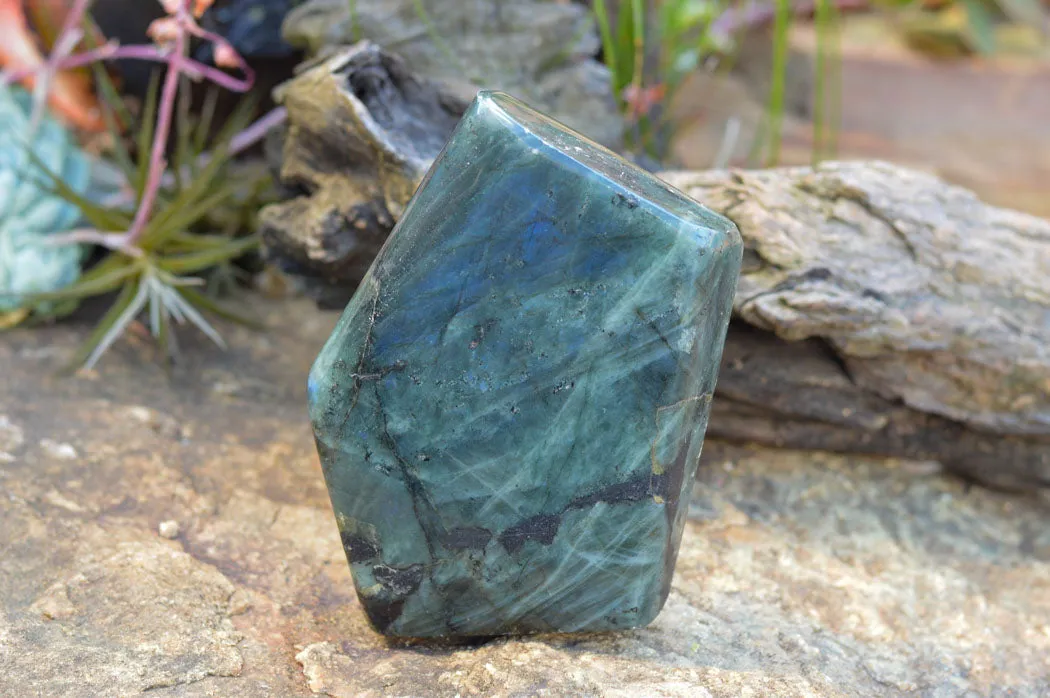 Polished Blue Labradorite Standing Free Form x 1 From Tulear, Madagascar