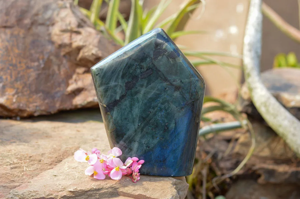 Polished Blue Labradorite Standing Free Form x 1 From Tulear, Madagascar