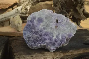 Polished Extra Large Amethyst Slice x 1 From Zambia